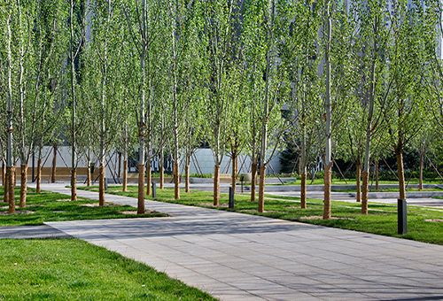 嘉都公园,北京/景观