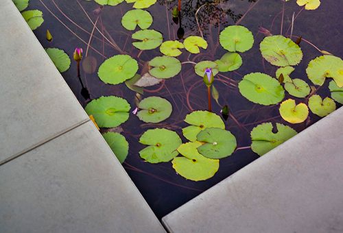 建研中心,东莞/景观设计