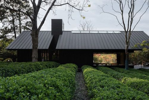 林中茶屋,武汉 / 建筑