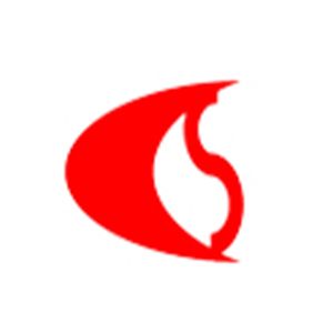 辽宁诚实工程管理有限公司企业logo