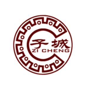浙江子城工程管理有限公司企业logo