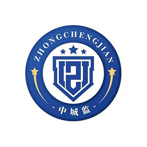 江苏中城监建设集团有限公司企业logo
