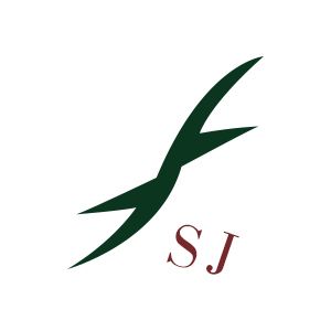 石家庄新世纪建设监理有限公司企业logo