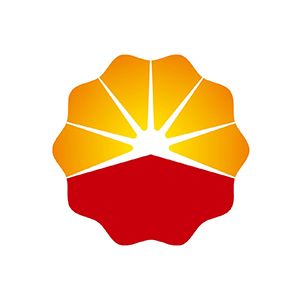 中石油华东设计院有限公司企业logo