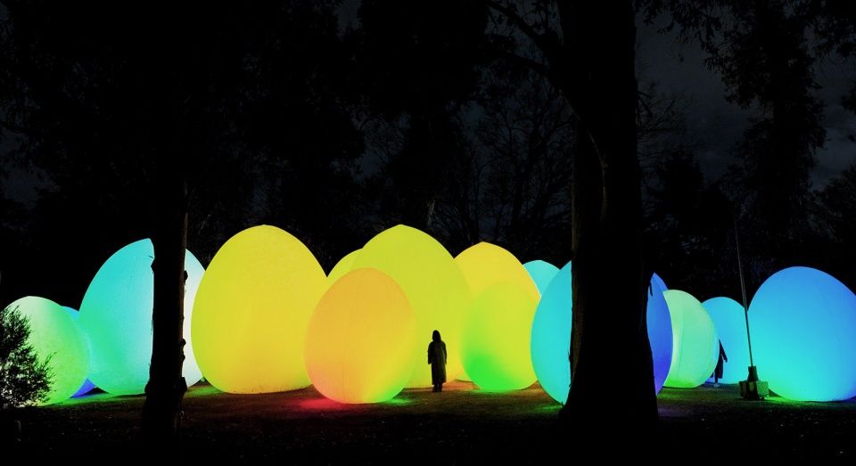 共振生命之森 + 山茶花园里的共振小宇宙，日本 / teamLab