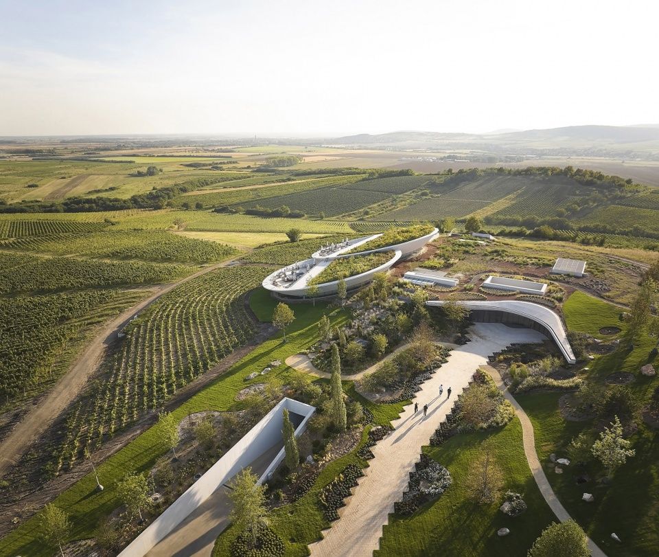 Sauska Tokaj酿酒厂，匈牙利 / BORD Architectural Studio