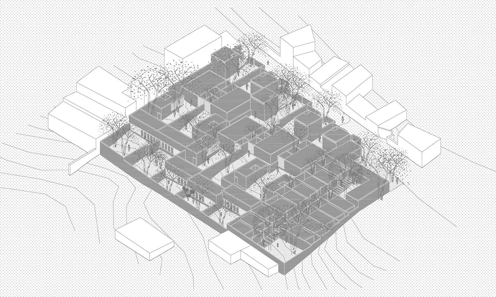 Pirules住宅，墨西哥 / Escobedo Soliz