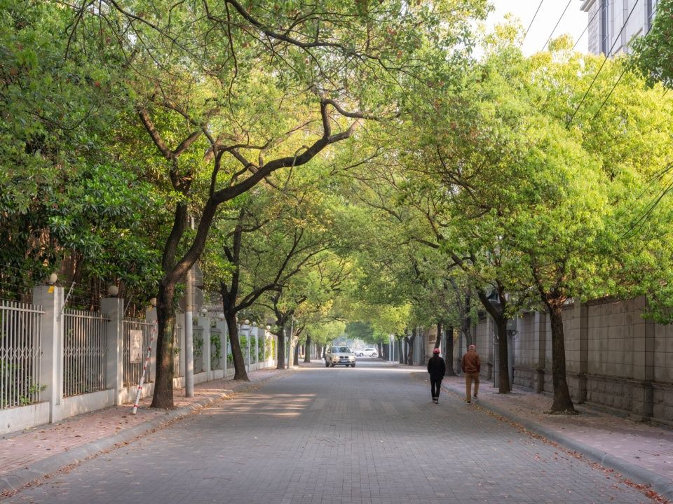梅香漫道:上海徐汇虹梅街道宜州路及全州路景观微更新 / 刘宇扬建筑事务所