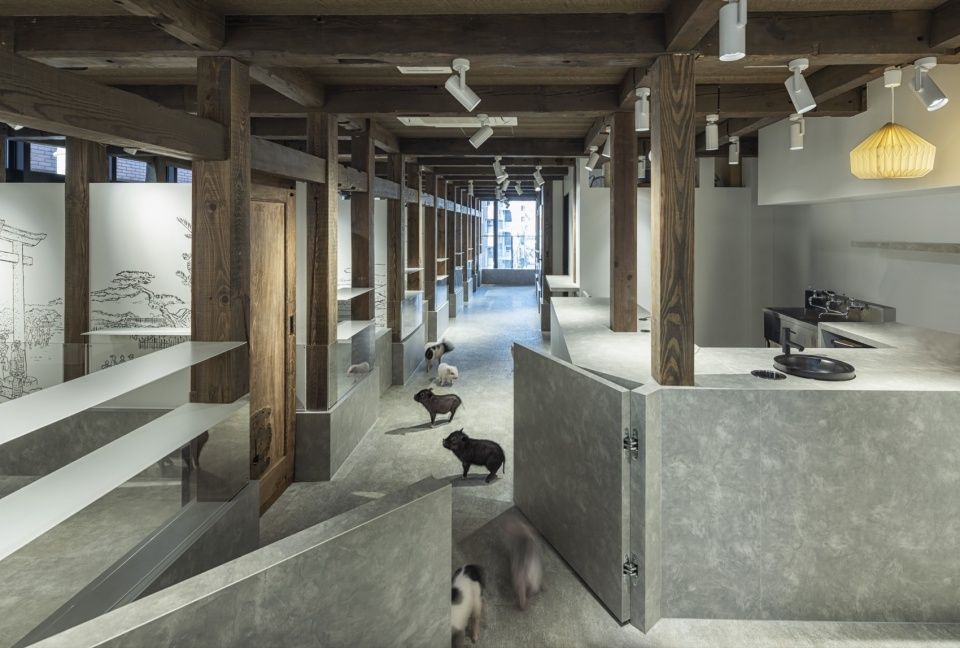 pignic浅草店,日本 / KAMITOPEN