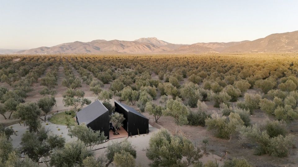 Serentha小屋,墨西哥 / ORTO Studio
