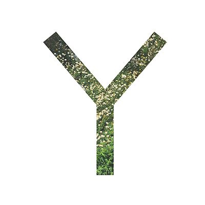 上海一于景观设计有限公司