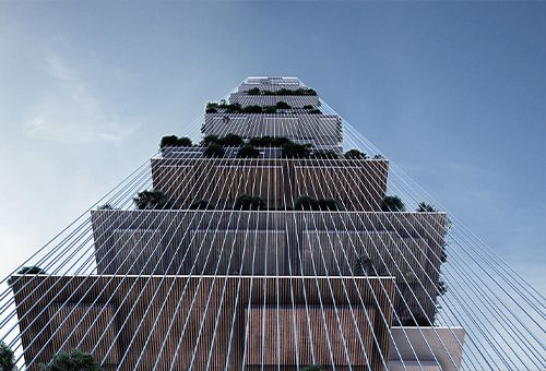 Skylines，纽约/生态