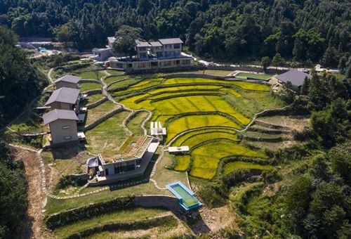 重庆垫江巴谷宿集建筑设计，重庆/建筑