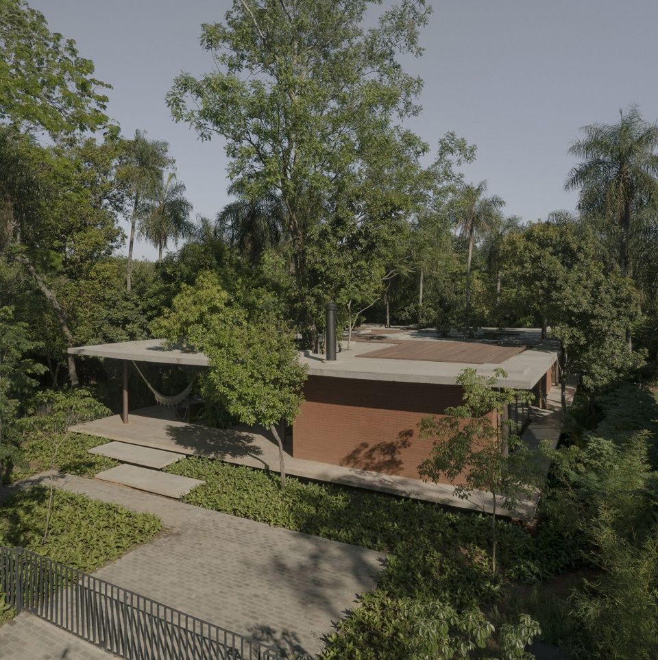 屋中森林，巴拉圭 / Equipo de Arquitectura
