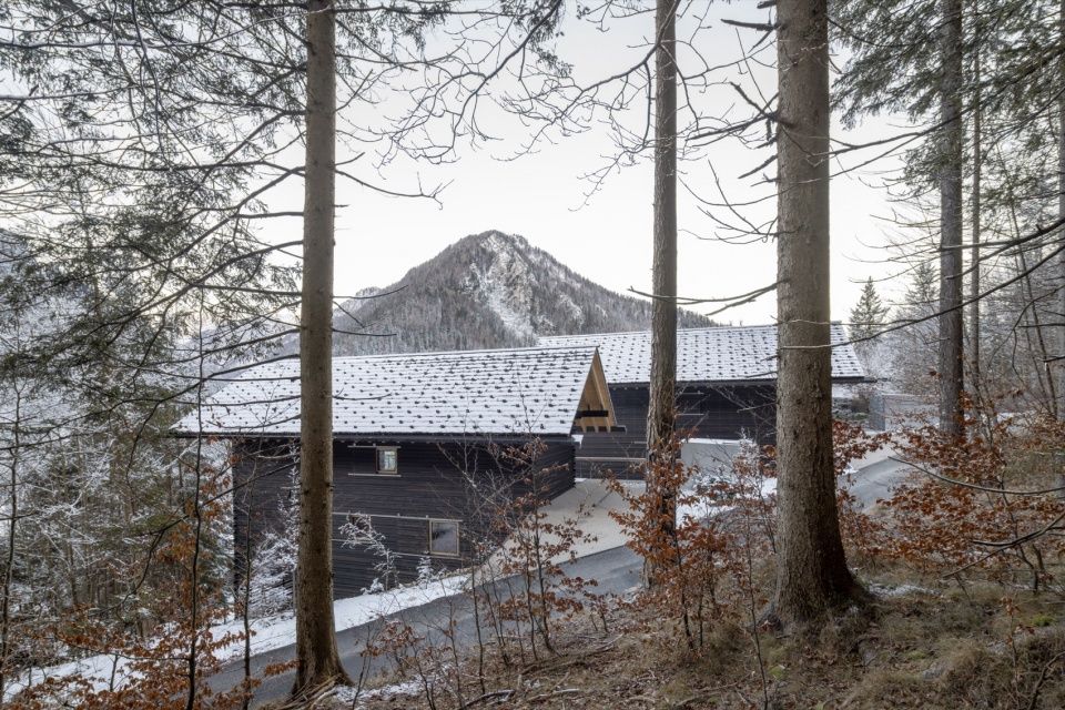 双生阿尔卑斯住宅，斯洛文尼亚 / Dekleva Gregoric Architects