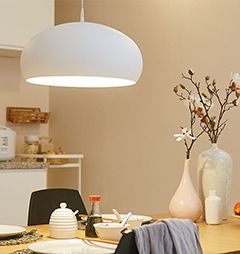 昕诺飞（中国）投资有限公司