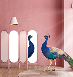 立邦涂料（中国）有限公司