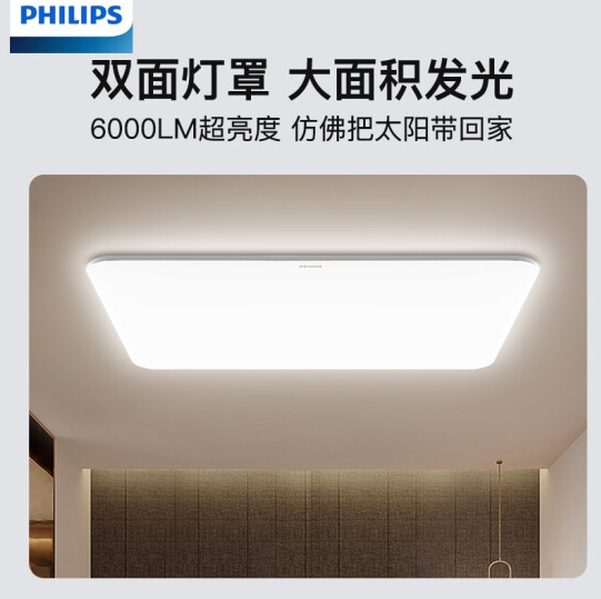 AI语音控制调光调色 简约80W