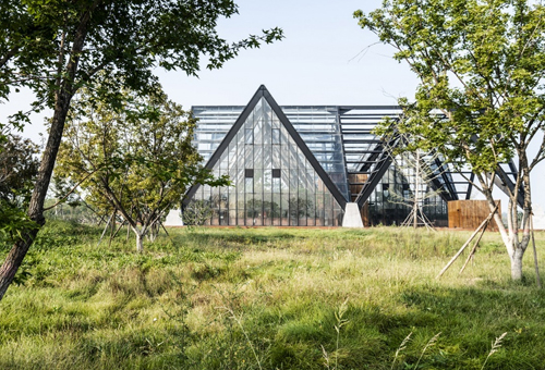 衡水植物园温室展览馆，衡水/建筑