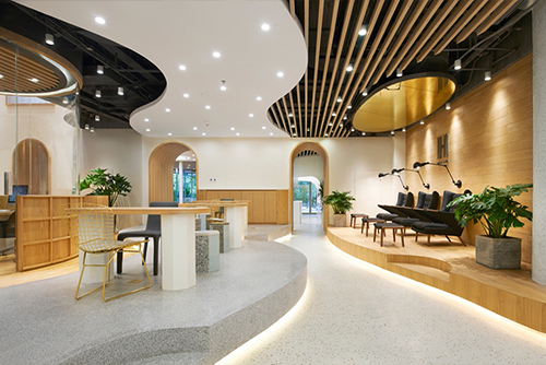 水仙沙⻰，北京/室内