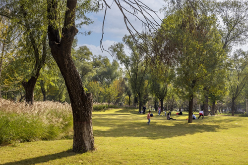  郑州古树苑公园一期景观提升，河南/建筑