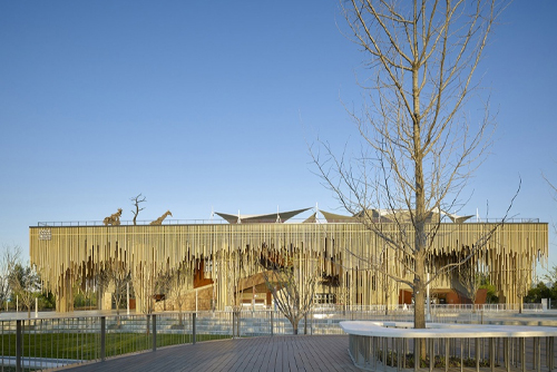 北京世界园艺博览会植物馆，北京/建筑