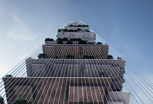 Skylines，纽约/生态