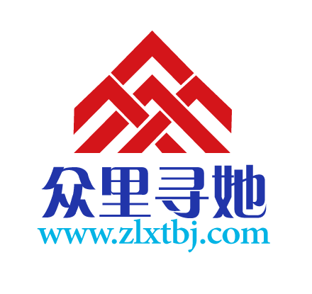 众里寻她测试企业logo