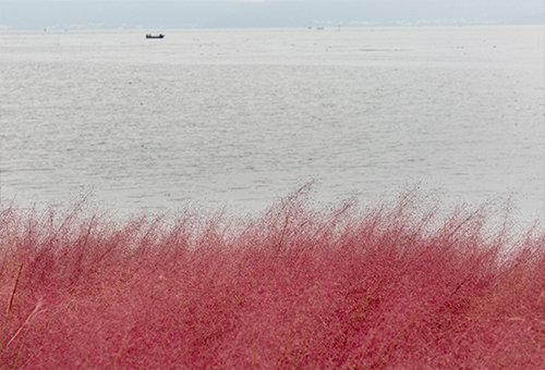 雁归来，苏州/景观设计