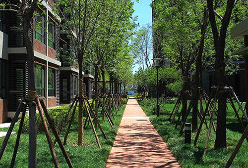 天津东丽湖，天津/景观设计