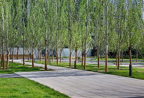 嘉都公园，北京/景观