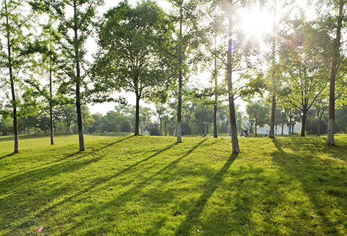 良渚滨河公园，杭州/景观设计
