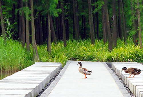 棠樾麒麟湖，东莞/景观