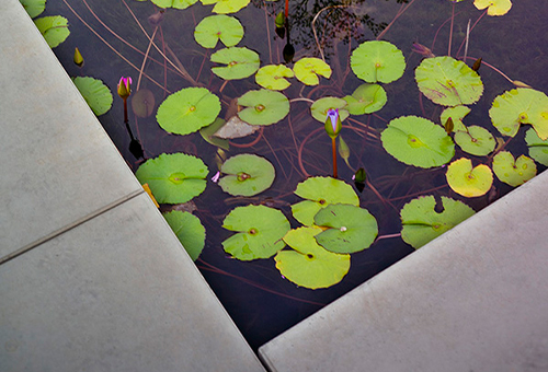 建研中心，东莞/景观设计