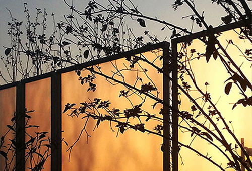 玉湖会所，昆山/景观