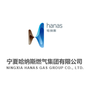 宁夏哈纳斯燃气集团有限公司企业logo
