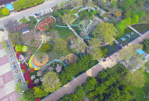 “瞬时与平时”，武汉樱花游园，武汉/景观