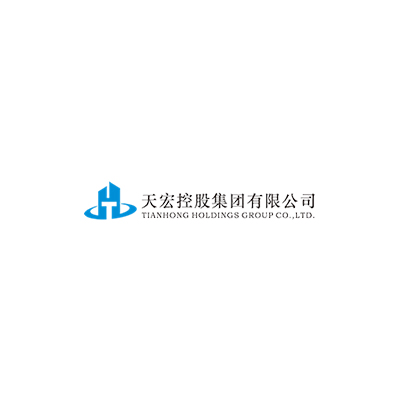 天宏控股集团有限公司企业logo