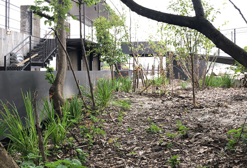 边园景观设计,上海 /景观