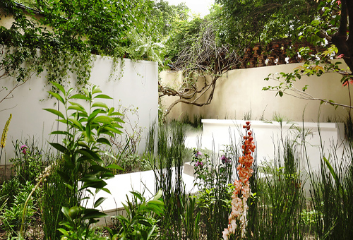 观夏 无限花园，上海/景观