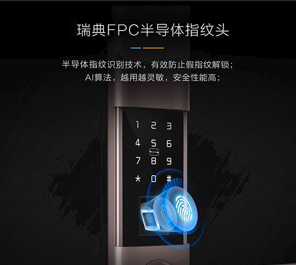 山 智能锁D6智能门锁家用大门锁密码锁防盗门锁指纹锁十大品牌wifi直连（上门安装）定制 古铜金
