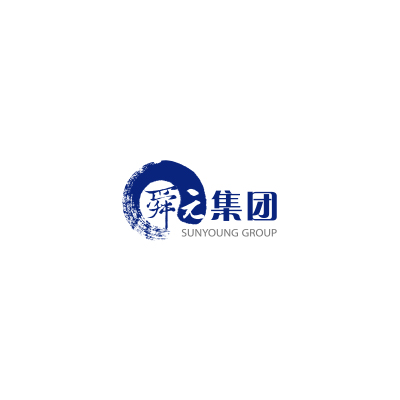 舜元建设（集团）有限公司企业logo
