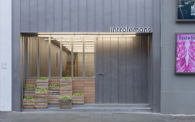 Introlemons安福路,上海/室内