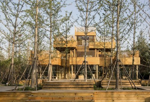 银杏林茶室，嘉兴 / 建筑