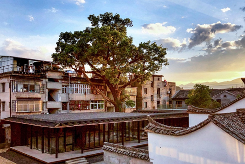 文里·松阳三庙文化交流中心,浙江 / 建筑