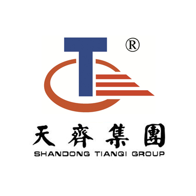 山东天齐置业集团股份有限公司企业logo