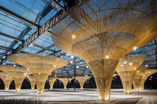 春沁园休闲农庄生态大棚改造实践，江苏 / 建筑