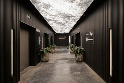 泰国Glowfish联合办公室，泰国/室内