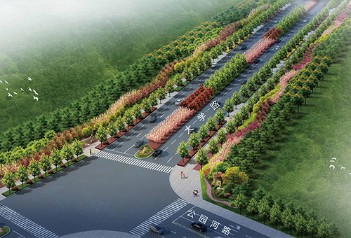 禹州市大学路、学府西路等绿化工程设计，许昌/景观