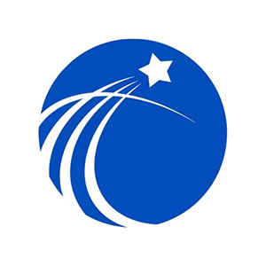 武汉星宇建设咨询有限公司企业logo